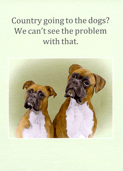 humorous greeting cardCath TateComedy Card CompanyCountry going to the Dogs