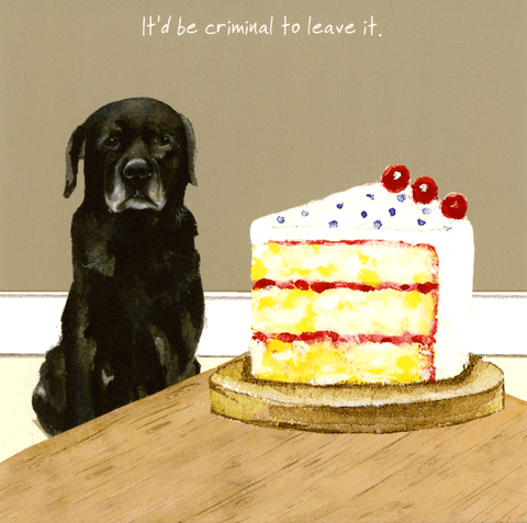 humorous greeting cardLittle Dog LaughedComedy Card CompanyCriminal to leave it