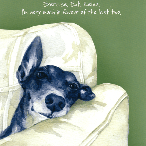 humorous greeting cardLittle Dog LaughedComedy Card CompanyExercise. Eat. Relax.