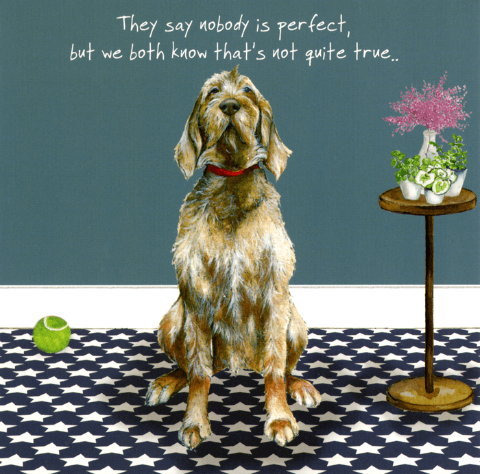 Humorous card by The Little Dog Laughed Nobody is perfect Comedy