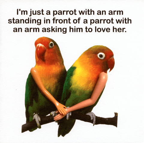 humorous greeting cardObjectablesComedy Card CompanyParrot with an arm