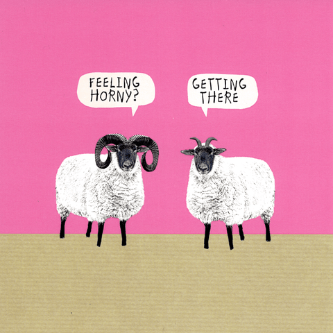 humorous greeting cardSally ScaffardiComedy Card CompanyFeeling horny?