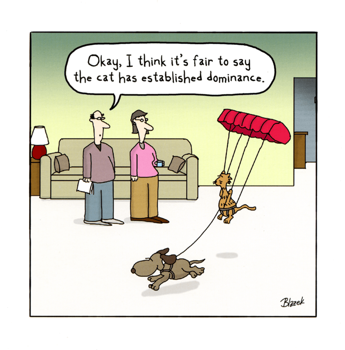 humorous greeting card Woodmansterne Cat has established dominance humorous greeting card Woodmansterne Cat has established dominance