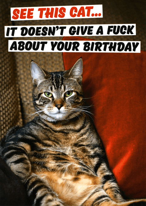 Rude Birthday CardsDean MorrisComedy Card CompanyCat doesn't give f*ck about your birthday