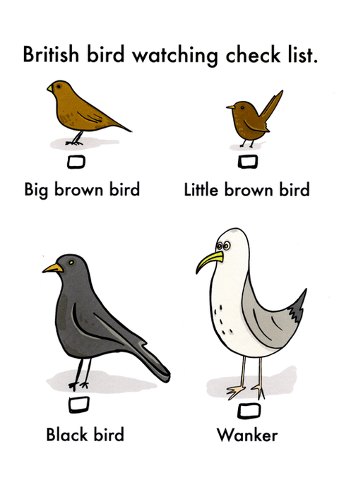 Rude CardsObjectablesComedy Card CompanyBritish Bird Watching
