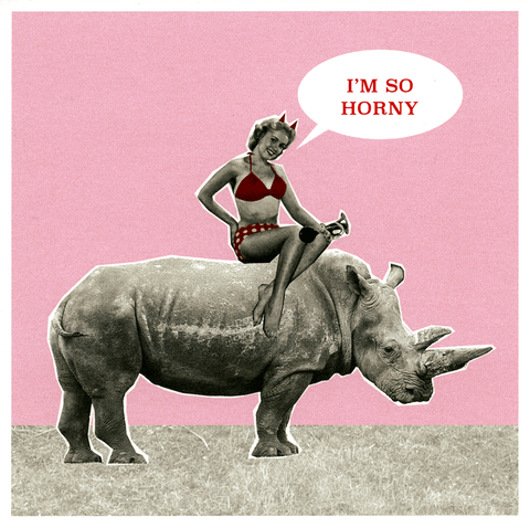 Valentines cardsUrban GraphicComedy Card CompanyI'm so horny