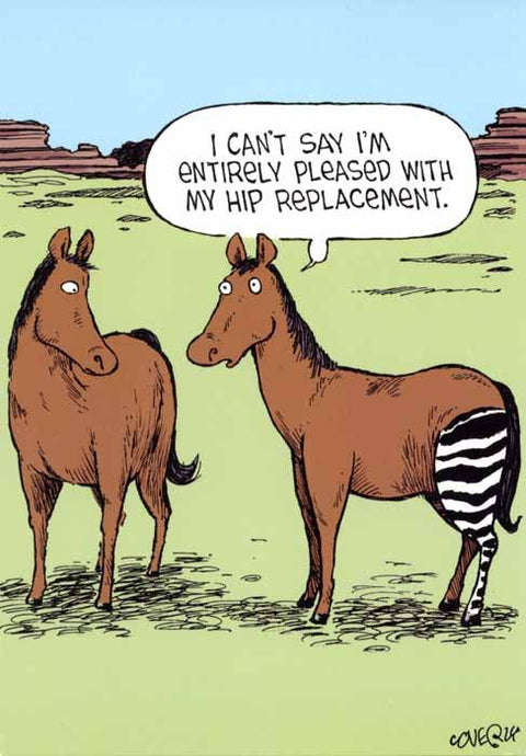 Hilarious new card ranges from Woodmansterne - Comedy Card Company