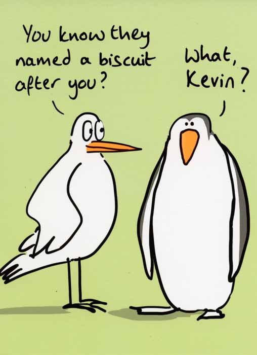 New range of funny greeting cards have arrived! – Comedy Card Company