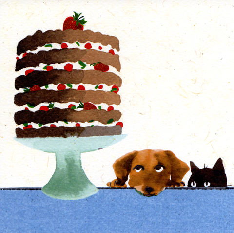 Eyeing up the cake
