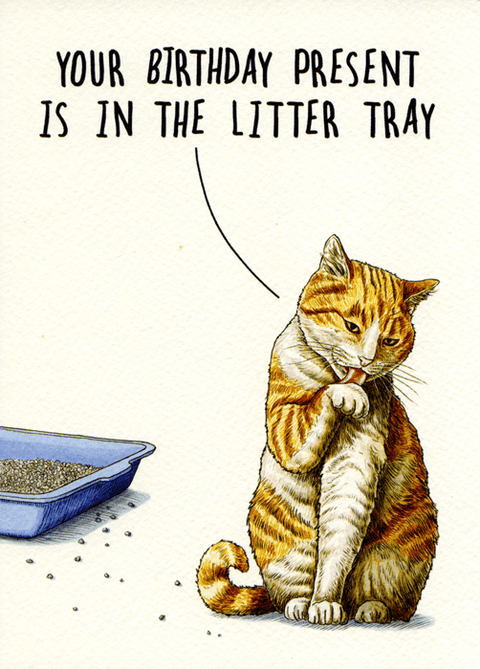 Birthday CardBewilderbeestComedy Card CompanyPresent in litter tray