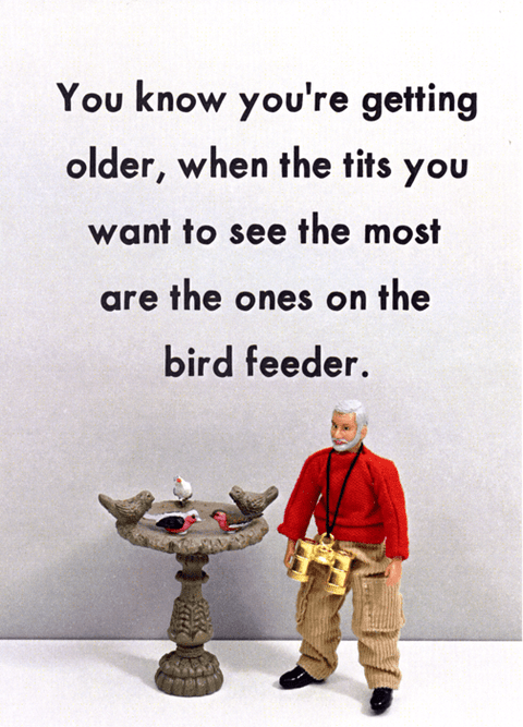 Birthday CardBold & BrightComedy Card CompanyTits on bird feeder