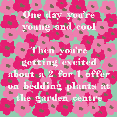 Birthday CardComedy Card CompanyComedy Card CompanyBedding plants