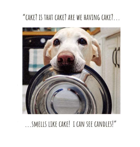 Birthday CardEmotional RescueComedy Card CompanyDog - Is that cake?