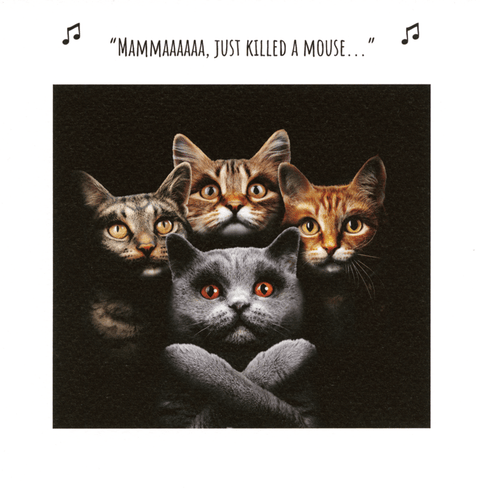 Birthday CardEmotional RescueComedy Card CompanyMama, just killed a mouse