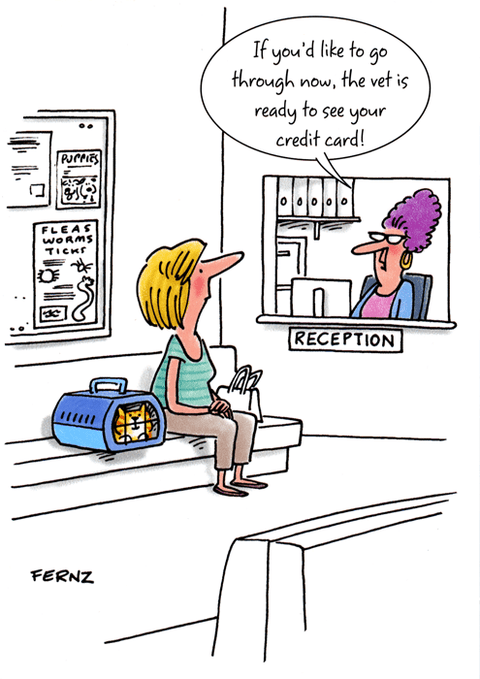 Birthday CardGreat British Card CompanyComedy Card CompanyVet ready to see you