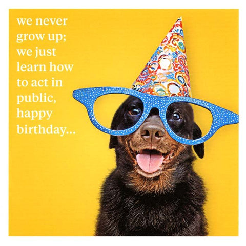 Birthday CardIconComedy Card CompanyLearn how to act in public