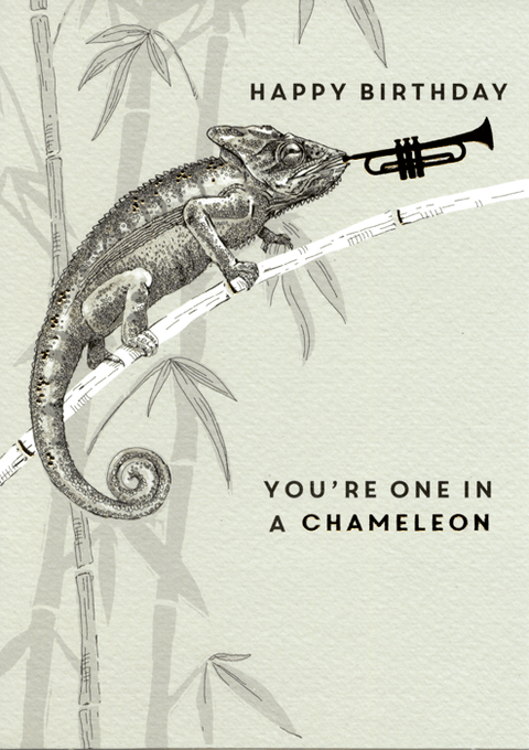 Birthday CardLingComedy Card CompanyOne in a Chameleon