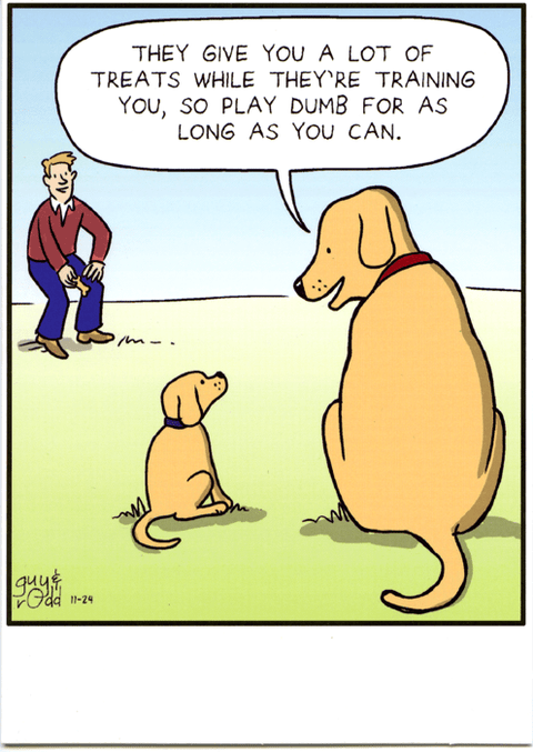 Birthday CardLingComedy Card CompanyTreats while training