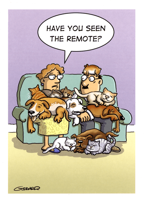 Birthday CardPaperlinkComedy Card CompanySeen the remote?