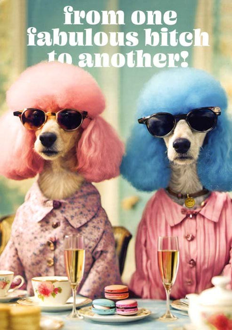 Birthday CardPigmentComedy Card CompanyFabulous bitch