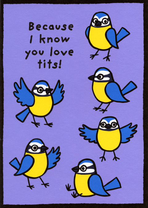 Birthday CardPigmentComedy Card CompanyKnow you like tits