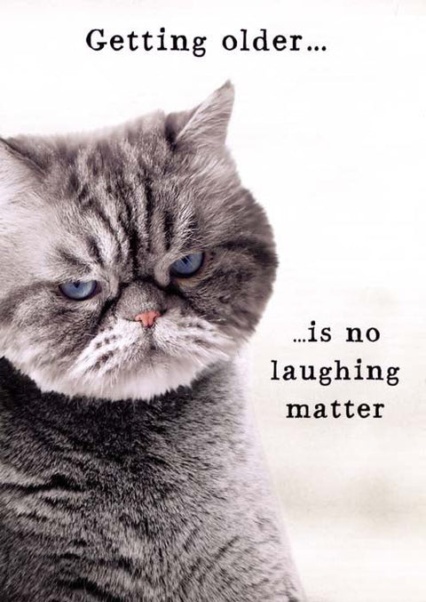Birthday CardPigmentComedy Card CompanyNo laughing matter