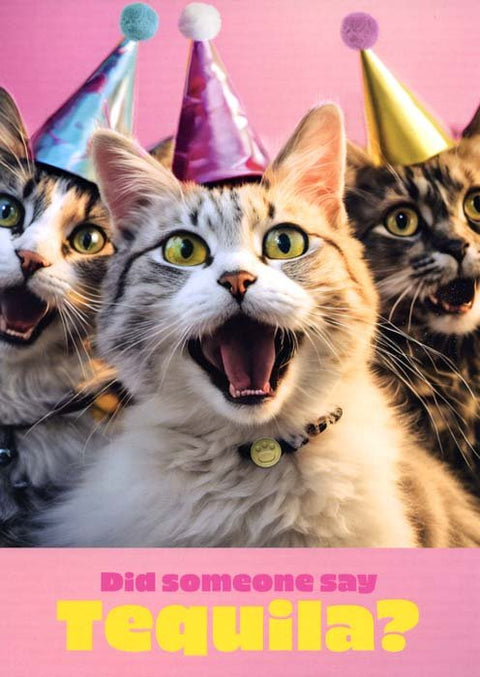 Birthday CardPigmentComedy Card CompanySomeone say Tequila?