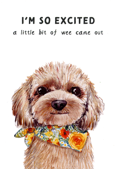 Birthday CardRosie Made a ThingComedy Card CompanyLittle bit of wee