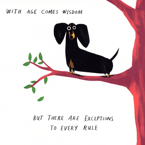 Birthday CardRosie Made a ThingComedy Card CompanyThere are exceptions to every rule