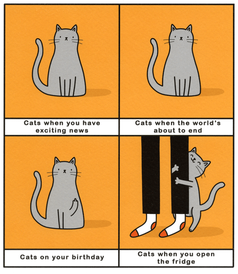 Birthday CardUK GreetingsComedy Card CompanyCats - Open the fridge