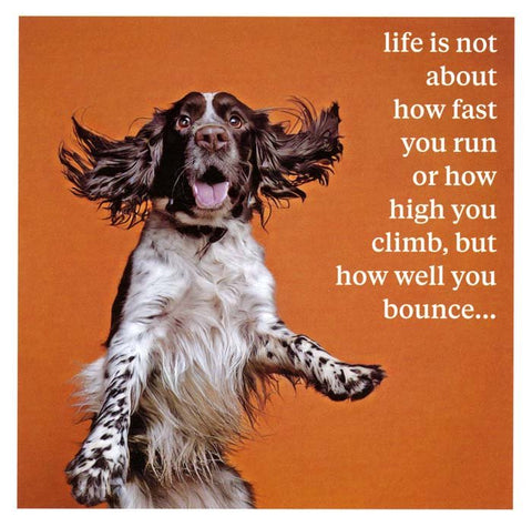 Funny CardsIconComedy Card CompanyHow well you bounce