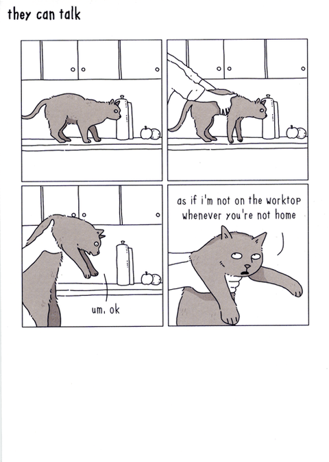 Funny CardsWoodmansterneComedy Card CompanyKitchen worktop