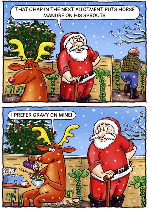 Funny Christmas cardsCharteris Christmas CardsComedy Card CompanyManure on sprouts