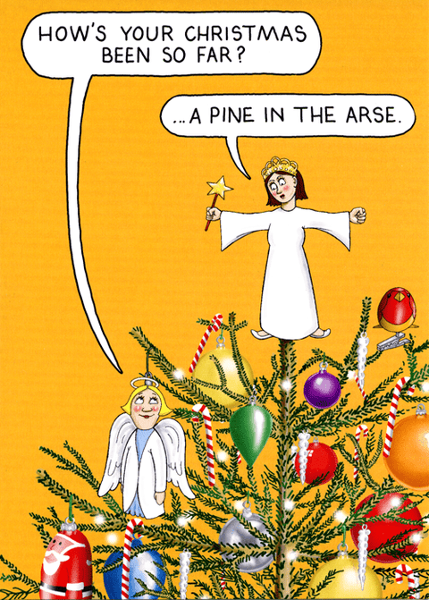 Funny Christmas cardsCharteris Christmas CardsComedy Card CompanyPine in the Arse