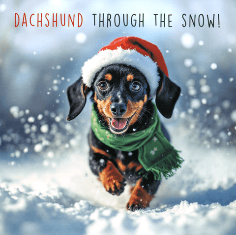 Snow Rumer Funny Christmas card by Darkroom - Dachshund through the snow – Comedy ...
