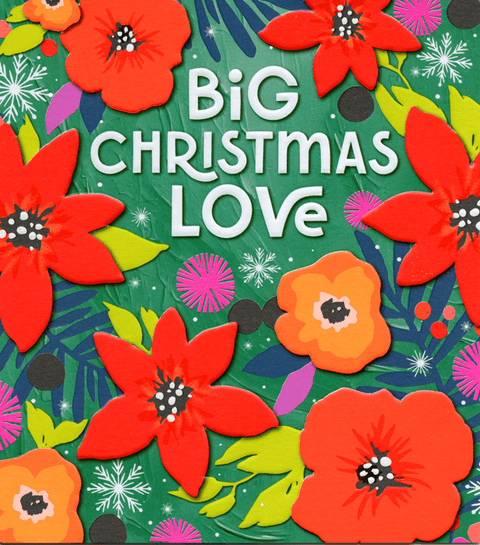 Funny Christmas cardsPigmentComedy Card CompanyBig Christmas Love