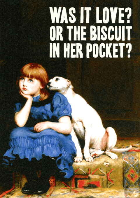 Funny Greeting CardBewilderbeestComedy Card CompanyBiscuit in pocket