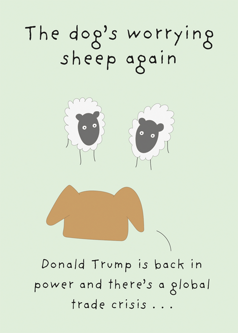 Funny Greeting CardComedy Card CompanyComedy Card CompanyDog worrying sheep