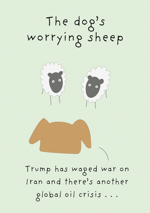 Funny Greeting CardComedy Card CompanyComedy Card CompanyDog's worrying sheep