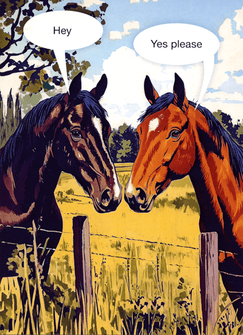 Funny Greeting CardKiss me KwikComedy Card CompanyHey