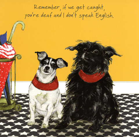 Funny Greeting CardLittle Dog LaughedComedy Card CompanyIf we get caught