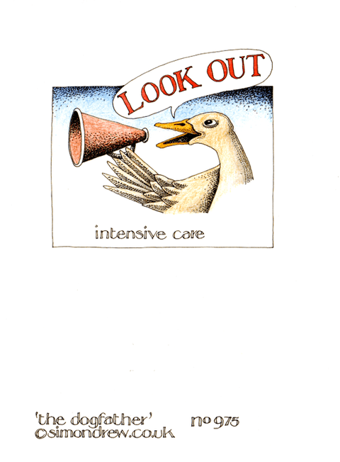 Funny Greeting CardSimon DrewComedy Card CompanyDogfather