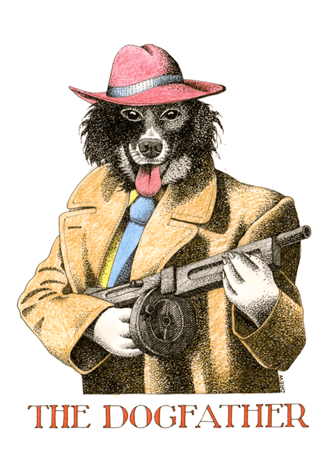 Funny Greeting CardSimon DrewComedy Card CompanyDogfather