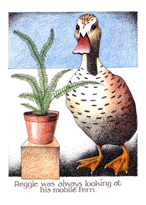 Funny Greeting CardSimon DrewComedy Card CompanyMobile Fern