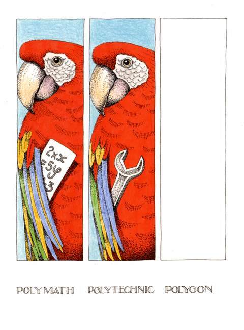 Funny Greeting CardSimon DrewComedy Card CompanyPolygon