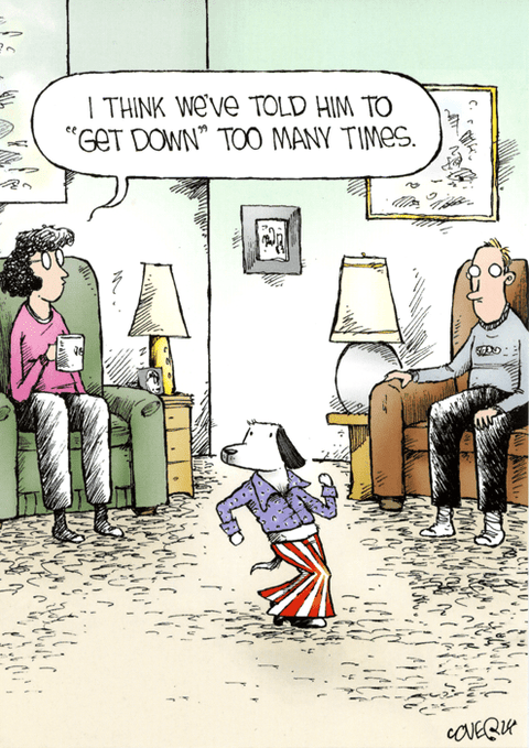 Funny Greeting CardWoodmansterneComedy Card CompanyGet Down