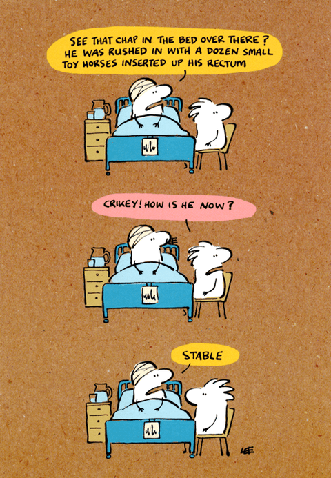 Funny Greeting CardWoodmansterneComedy Card CompanyToy horses