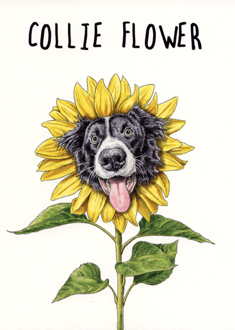 humorous greeting cardBewilderbeestComedy Card CompanyCollie Flower