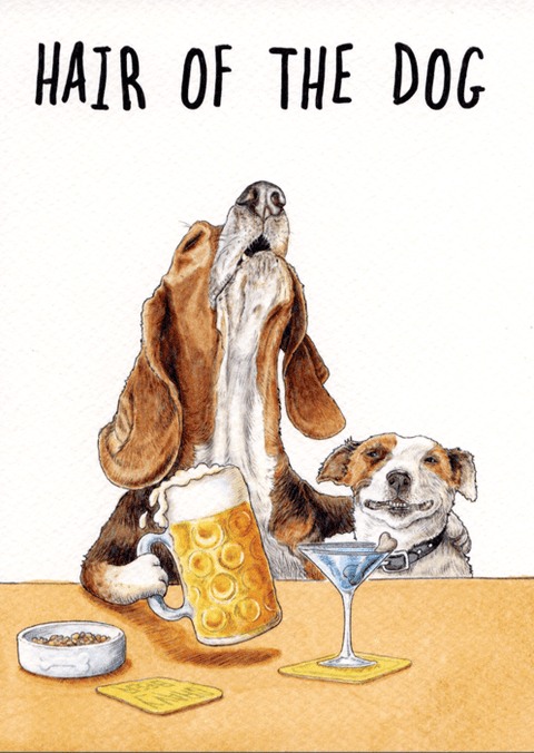 humorous greeting cardBewilderbeestComedy Card CompanyHair of the dog