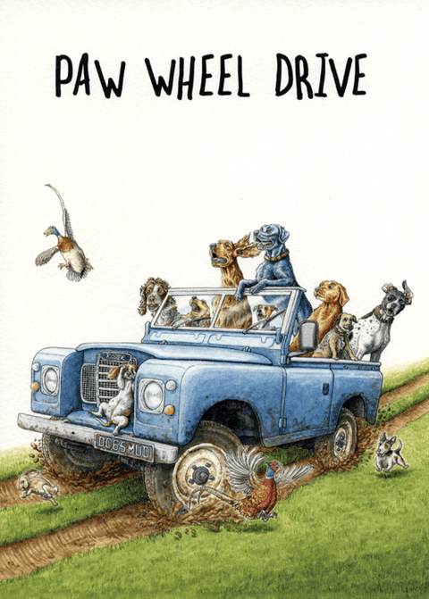 humorous greeting cardBewilderbeestComedy Card CompanyPaw Wheel Drive